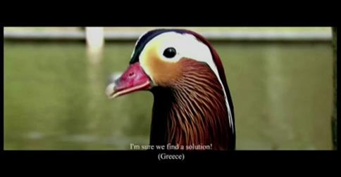 THE POND, by Dimitris Argyriou from Greece/Germany. Dimitris about his film: 'The EU may preach about united countries and solidarity, in the end, everyone just cares about their own interests - just like these ducks. 